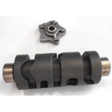 Arora Cg  Vi̇tes Topuzu